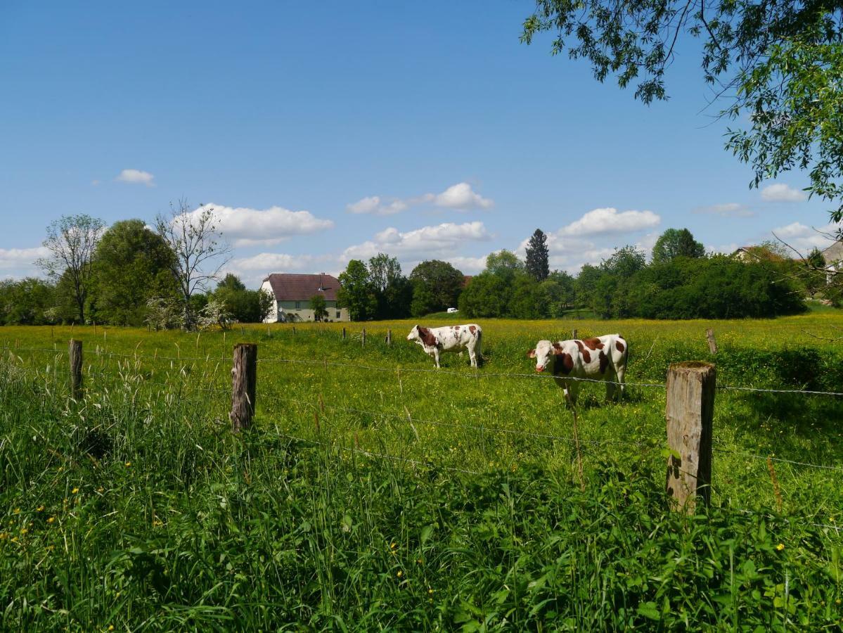 La Maison Au Vert Melincourt Exteriör bild